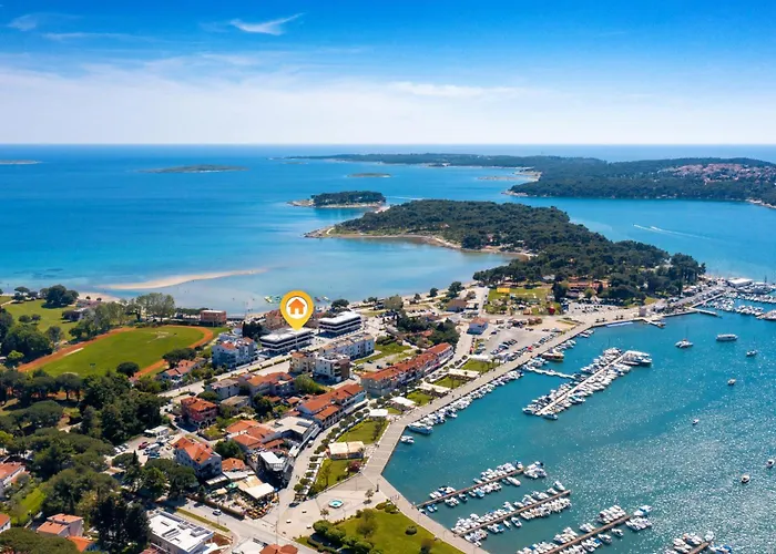 Fly - Ap1 - Mpolo Medulin