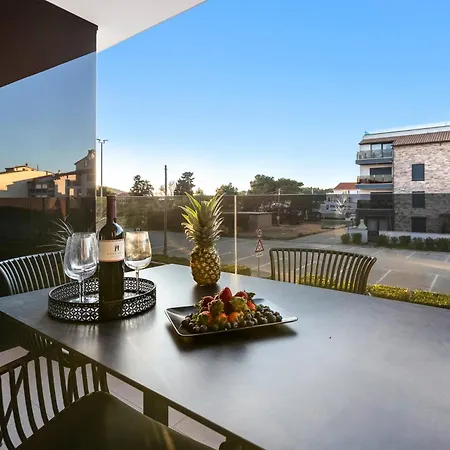 Fly - Ap1 - Mpolo Medulin