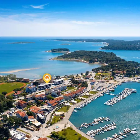 Fly - Ap1 - Mpolo Medulin